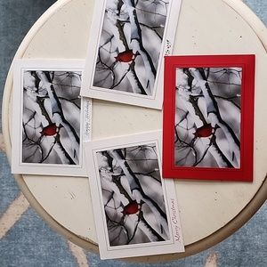 4 Photo cards, blank inside.  Original photography by Gail Donohue